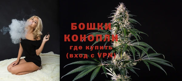 спайс Алексин