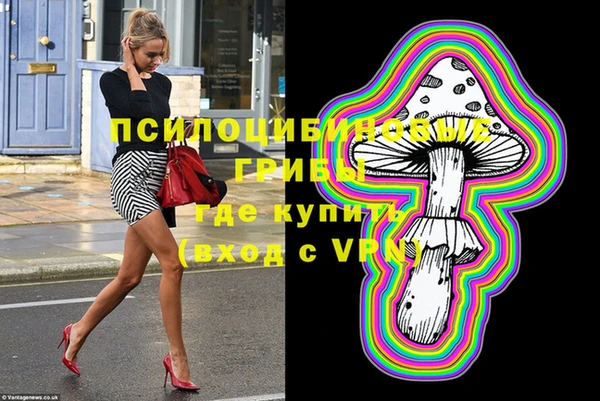 спайс Алексин