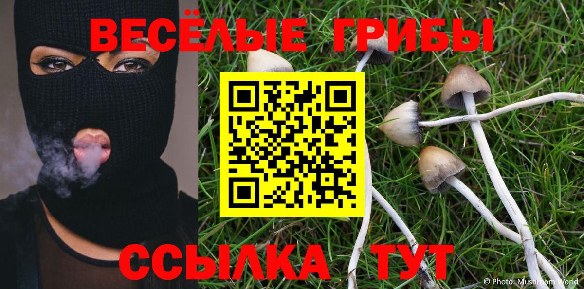 закладки  Галлюциногенные грибы ЛСД  Вход с VPN  Псилоцибиновые грибы мицелий  Кропоткин 