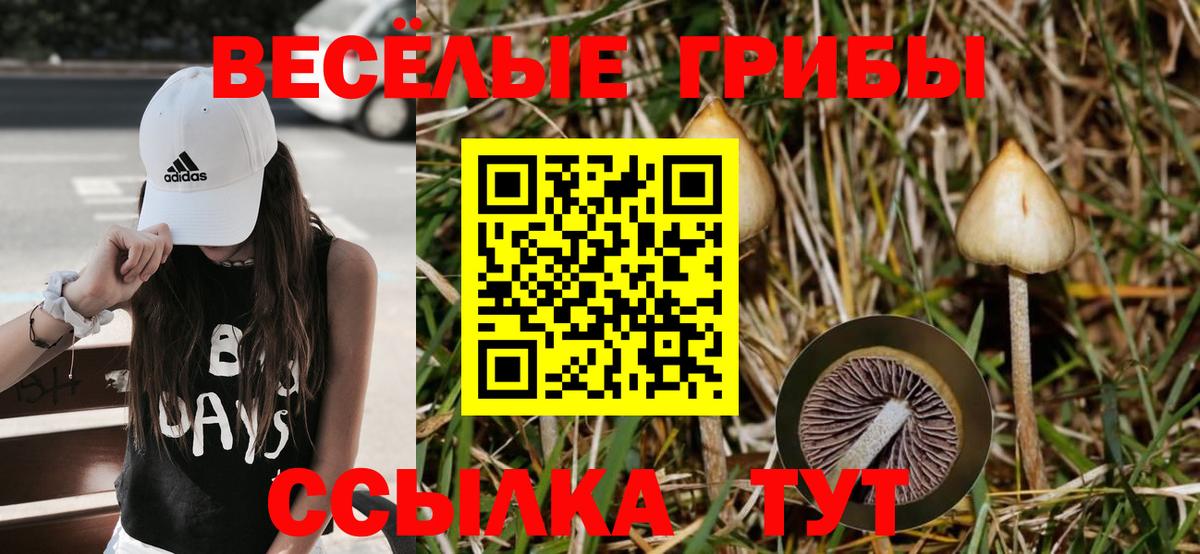 Псилоцибиновые грибы GOLDEN TEACHER Кропоткин